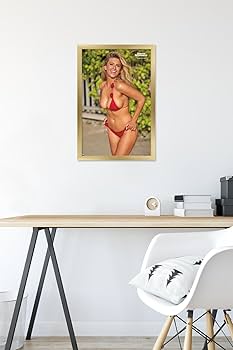 Amazon.com: Trends International Sports Illustrated